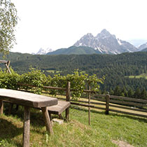 Capella nel bosco